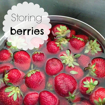 Trying to Store some Berries
